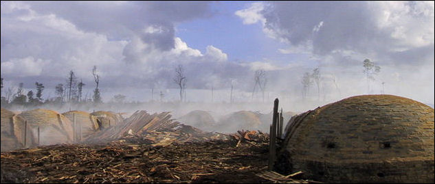 20120515-Deforestation charcoal making.jpg